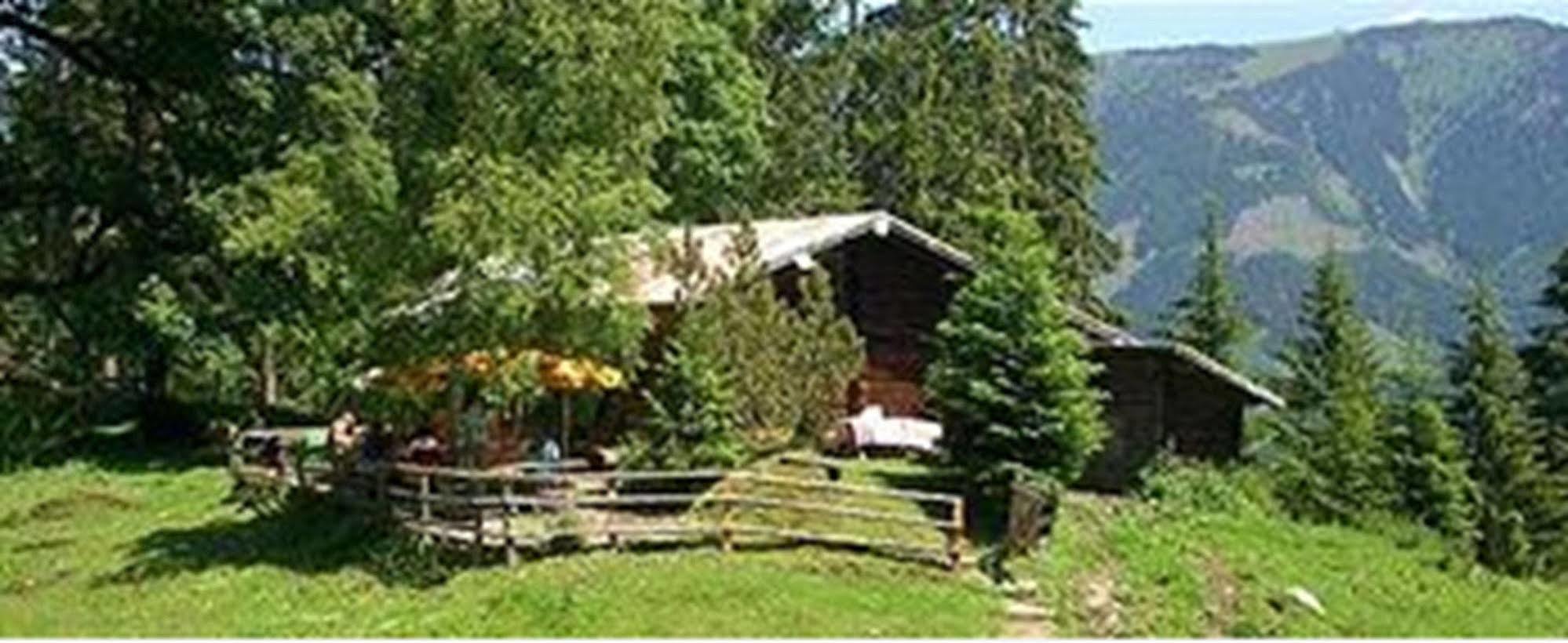 Klammers Kaernten Bad Hofgastein Bagian luar foto